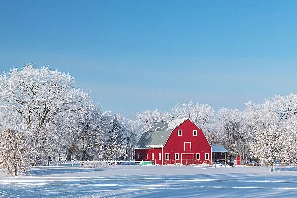 Red barn with rime ice (frost) Grande Pointe, Manitoba, Canada