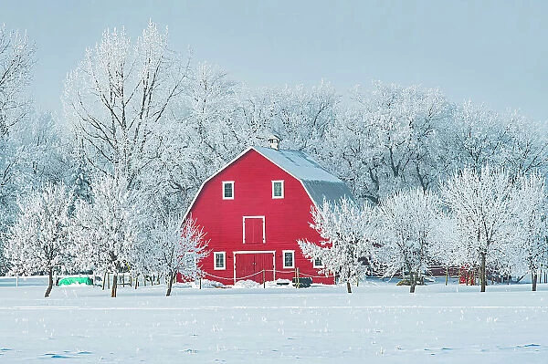 Red barn with rime ice (frost) Grande Pointe Manitoba, Canada