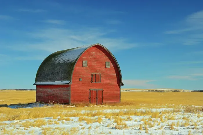 Framed Print : Red barn in winter Vulcan, Alberta, Canada Framed Print : Red barn in winter Vulcan, Alberta, Canada
