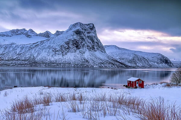 Red Boat House along Bergsbotn Fjord, Senja, Norway