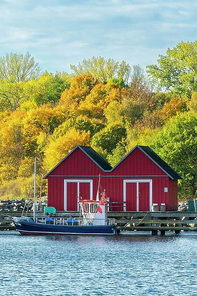 Red cabin against colorful trees in autumn, Wei√ue Wiek harbor, Boltenhagen, Nordwestmecklenburg, Mecklenburg-Western Pomerania, Germany