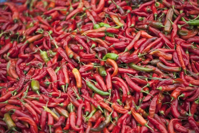 Framed Print : Red chillies for sale at Paro open-air market. Both red and green chillies are very important ingredients for Bhutanese food. The most popular Bhutanese dish is ema datsi a hot dish of green chillies cooked in cheese Framed Print : Red chillies for sale at Paro open-air market. Both red and green chillies are very important ingredients for Bhutanese food. The most popular Bhutanese dish is ema datsi a hot dish of green chillies cooked in cheese