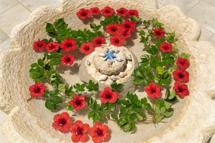 Framed Print : Red Hibiscus Flowers in Water Font, Rhodes, Greece Framed Print : Red Hibiscus Flowers in Water Font, Rhodes, Greece