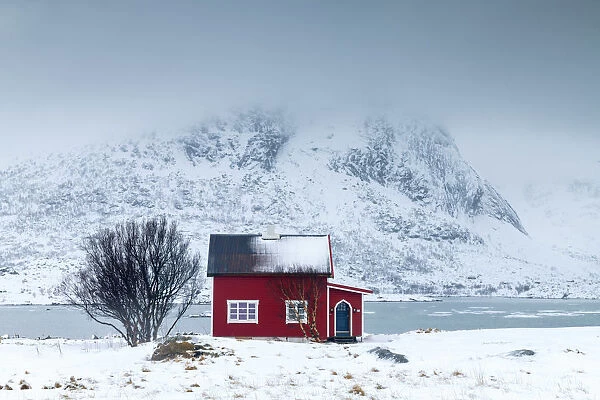 Red House in Winter, Lofoten Islands, Norway