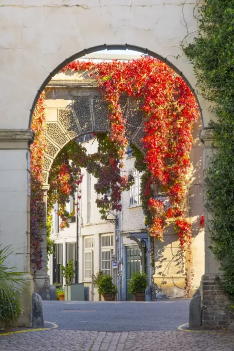 Framed Print : Red ivy over arch in a mews street in Kensington, London, England, UK Framed Print : Red ivy over arch in a mews street in Kensington, London, England, UK