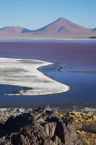 The red-lagoon (Laguna Colorada), Potosi, Bolivia. A salt lake located in the Bolivian