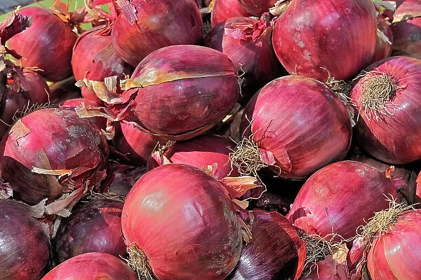 Red onions at farmer's market Winnipeg, Manitoba, Canada