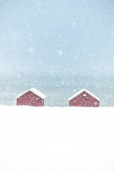Red rorbu cabins hit by a heavy snowfall in winter, Troms county, Norway