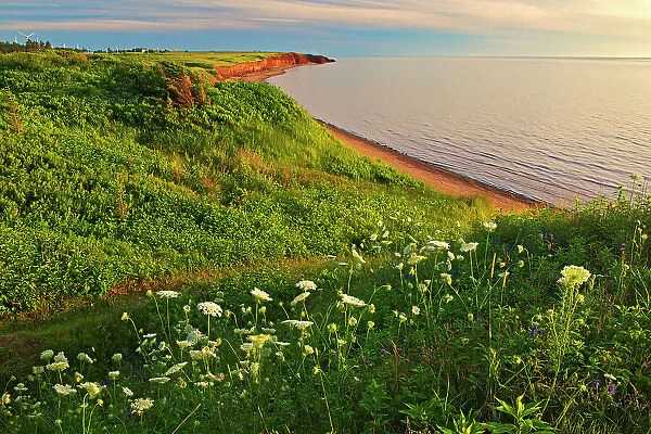Red sand and bluffs along the Northumberland Strait Campbelton Prince Edward Island, Canada