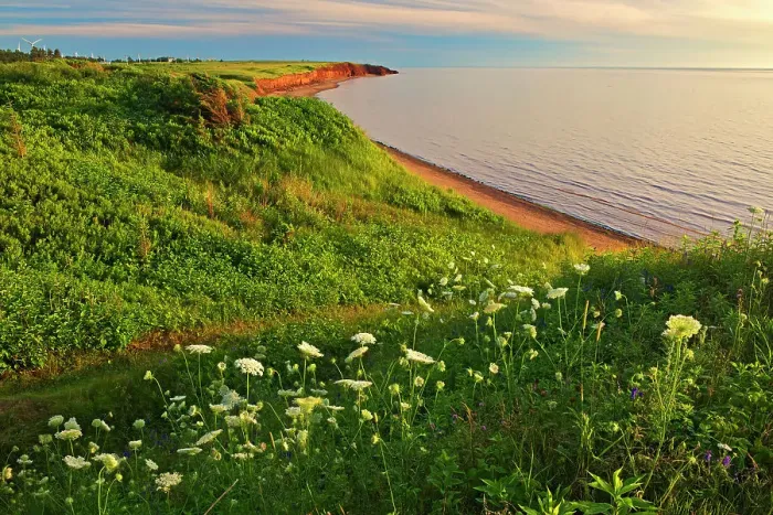 Framed Print : Red sand and bluffs along the Northumberland Strait Campbelton Prince Edward Island, Canada