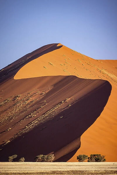 Red Sand Dune, Sossusvlei, Naukluft National Park, Namibia