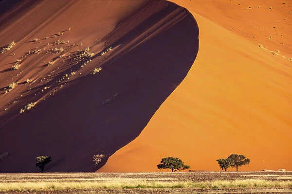 Red Sand Dune, Sossusvlei, Naukluft National Park, Namibia