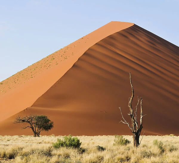 Red sand dunes in the Namib-Naukluft National Park, Namibia, Africa