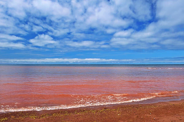 Red sandstone beach at low tide. Northumberland Strait. Skinners Pond, Prince Edward Island, Canada