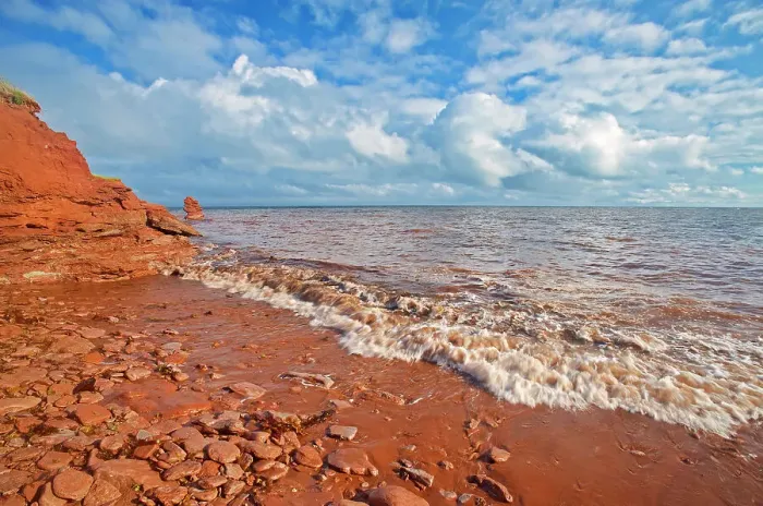 Framed Print : Red sandstone cliffs along the Gulf of St. Lawrence. SIte of the remnant of Elephant Rock'. North Cape, Prince Edward Island, Canada Framed Print : Red sandstone cliffs along the Gulf of St. Lawrence. SIte of the remnant of Elephant Rock'. North Cape, Prince Edward Island, Canada