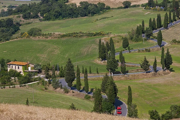 Red sports cars & winding Road lined with Cypress Trees, Tuscany, Italy