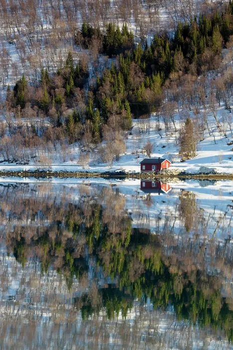 Framed Print : Red timber hut (rorbu) and snowy hillside reflecting in flat calm water, island of Kvaloya, near Tromso, Norway Framed Print : Red timber hut (rorbu) and snowy hillside reflecting in flat calm water, island of Kvaloya, near Tromso, Norway