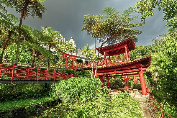 Red torii gate amidst plants at Oriental Gardens, Monte Palace Tropical Garden, Funchal, Madeira, Portugal