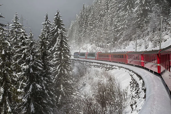 Red train travelling through the snowy woods of Filisur on the highest railway across