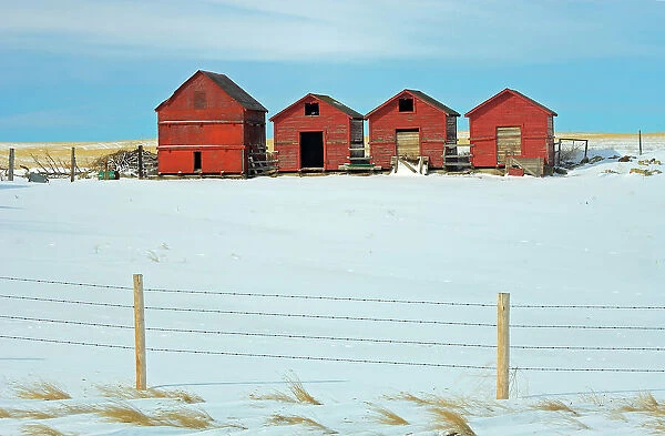 Red wooden graneries in winter Hussar, Alberta, Canada