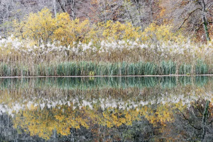 Framed Print : Reflection during a cloudy afternoon in Plitvice National Park, Croatia