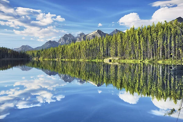 reflection in Herbert Lake - Canada, Alberta, Banff National Park