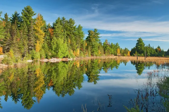 Framed Print : Reflection in Killarney Lake Killarney Provincial Park, Ontario, Canada Framed Print : Reflection in Killarney Lake Killarney Provincial Park, Ontario, Canada
