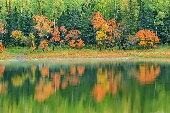 Framed Print : Reflection in Middle Lake at sunrise Kenora, Ontario, Canada Framed Print : Reflection in Middle Lake at sunrise Kenora, Ontario, Canada
