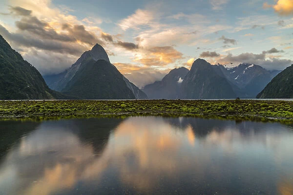 Reflection of Milford Sound with low tide at sunset in summer