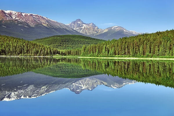 reflection at Patricia Lake - Canada, Alberta, Jasper National Park, Jasper