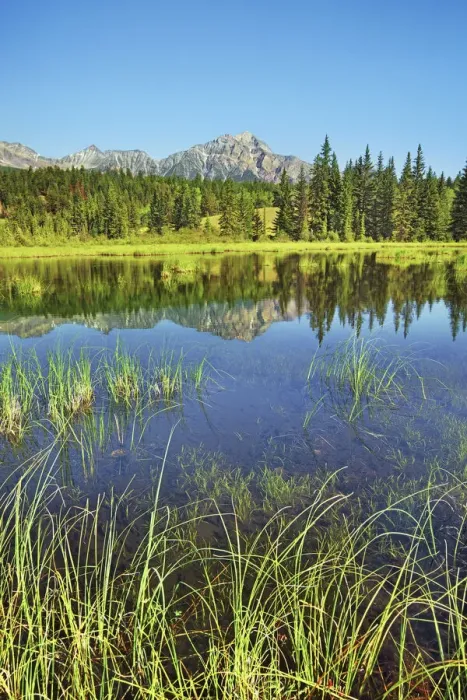 Framed Print : reflection Pyramid Mountain - Canada, Alberta, Jasper National Park, Jasper Framed Print : reflection Pyramid Mountain - Canada, Alberta, Jasper National Park, Jasper