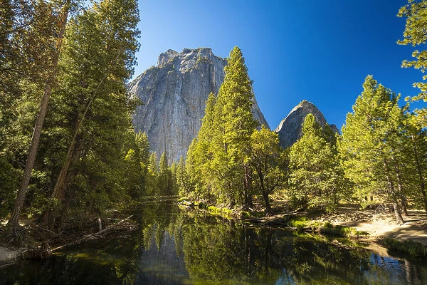 Reflection of trees in Merced River by Cathedral Rocks, Yosemite National Park