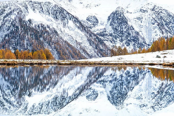 Reflections Europe, Italy, Trentino, Pejo valley, Pejo