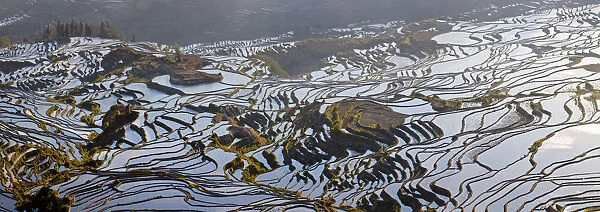 Reflections off water filled rice terraces, Yuanyang County, Honghe, Yunnan Province