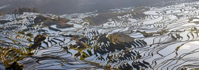 Framed Print : Reflections off water filled rice terraces, Yuanyang County, Honghe, Yunnan Province