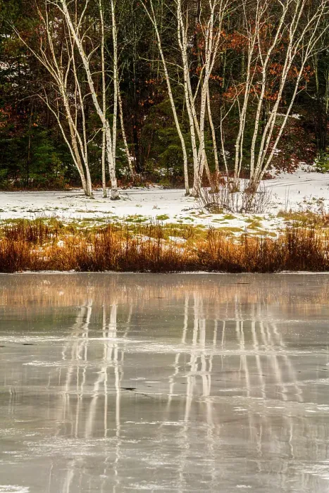Framed Print : Reflections in wet ice on St. PothierLake, Greater Sudbury, Ontario, Canada Framed Print : Reflections in wet ice on St. PothierLake, Greater Sudbury, Ontario, Canada
