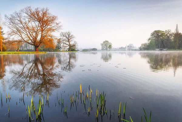 Reflektion lake at Woerlitzer Park, Dessau-Woerlitzer Gardenreich, Unesco World Heritage site, Saxony-Anhalt, Germany