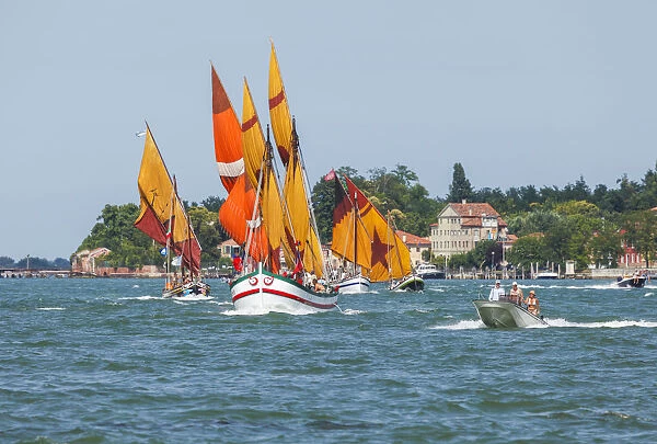 Regatta with traditional sailboats, Venice, Veneto, Italy