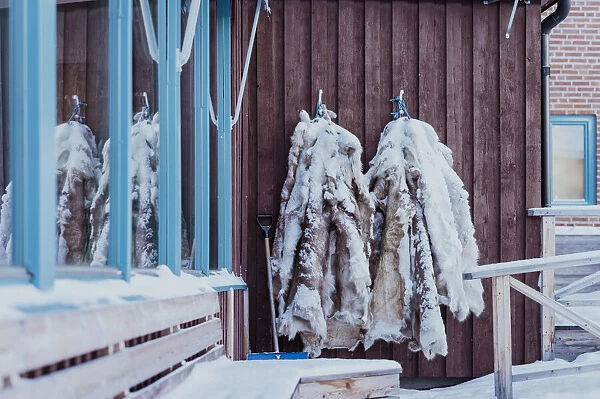reindeer hide leather on a hut in Arctic Circle, Abisko, Swedish Lapland, Sweden