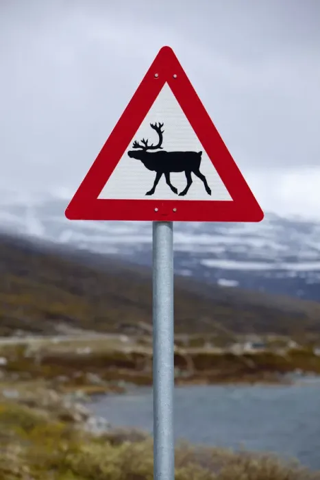 Framed Print : Reindeer road sign on mountain pass, Breiddalen, More og Romsdal, Norway Framed Print : Reindeer road sign on mountain pass, Breiddalen, More og Romsdal, Norway