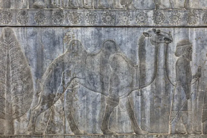 Framed Print : Relief on staircase, Apadana Palace, Persepolis, ceremonial capital of Achaemenid Empire Framed Print : Relief on staircase, Apadana Palace, Persepolis, ceremonial capital of Achaemenid Empire