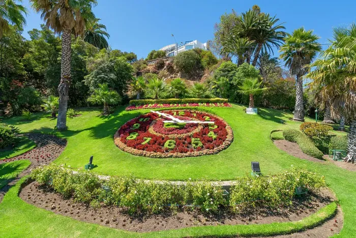 Framed Print : Reloj de flores amidst plants on sunny day, Vina del Mar, Valparaiso Province, Valparaiso Region, Chile Framed Print : Reloj de flores amidst plants on sunny day, Vina del Mar, Valparaiso Province, Valparaiso Region, Chile