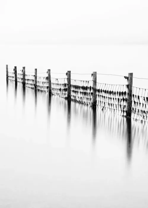Framed Print : Remains of the old fence on Derwentwater, Cumbria, UK Framed Print : Remains of the old fence on Derwentwater, Cumbria, UK