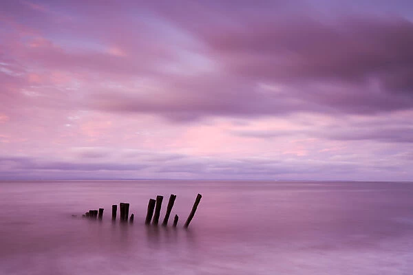 Remains of a wooden groyne at Bossington Beach, Exmoor National Park, Somerset, England