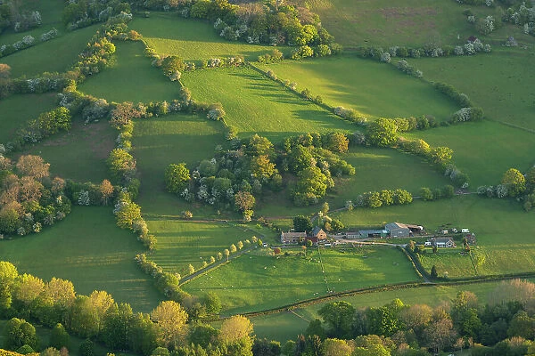 Remote farmstead on the steep rolling hills of Bannau Brycheiniog, formerly known as the Brecon Beacons, near Abergavenny in Powys, Wales, UK. Spring (May) 2019