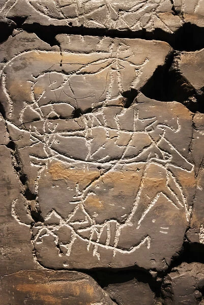 Reproduction of Coa river Valley rock art at the Coa Valley Art and Archaeology Museum