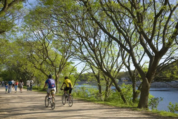 Framed Print : Reserva Ecologica Costanera Sur, Buenos Aires, Argentina