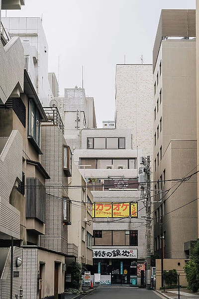 Residential architecture in downtown Tokyo, Japan