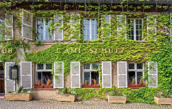 Framed Print : Restaurant Ami Schutz at Petite France district, Strasbourg, Alsace, Bas-Rhin, Grand Est, France Framed Print : Restaurant Ami Schutz at Petite France district, Strasbourg, Alsace, Bas-Rhin, Grand Est, France