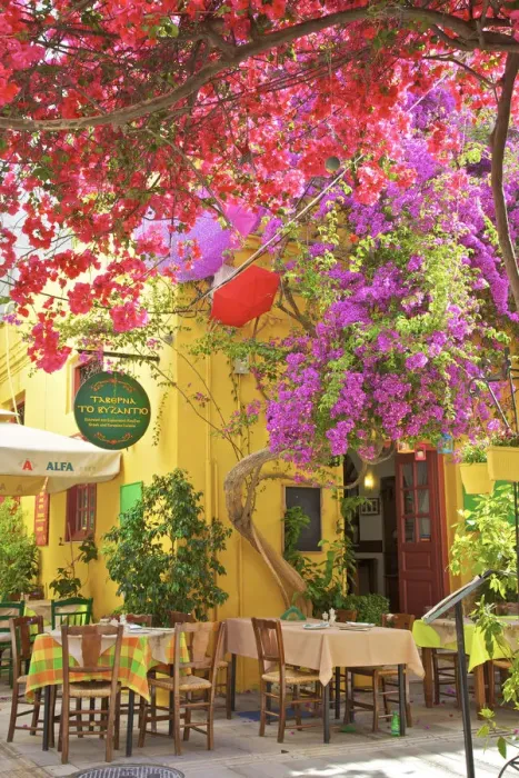 Framed Print : Restaurant in the Old Town of Nafplio, Argolis, The Peloponnese, Greece, Southern Europe Framed Print : Restaurant in the Old Town of Nafplio, Argolis, The Peloponnese, Greece, Southern Europe